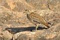 2013 02 09_7143_edited-1
